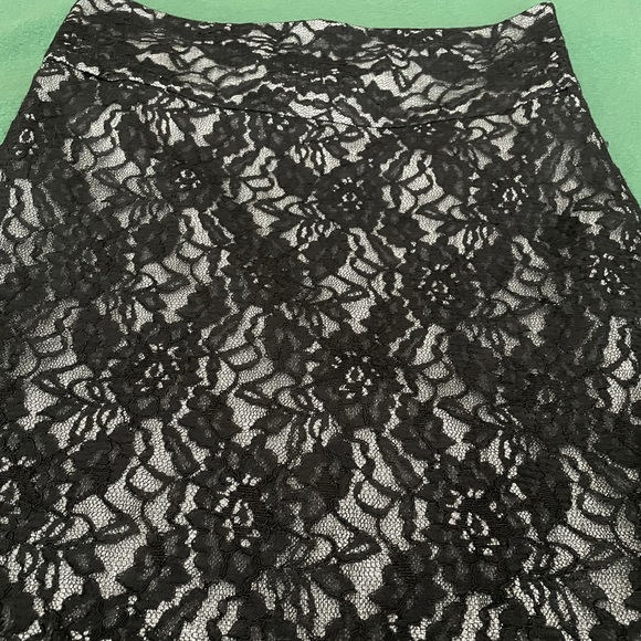The Limited Lace Skirt - Picture 2 of 10